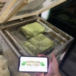 kratom supplier indonesia